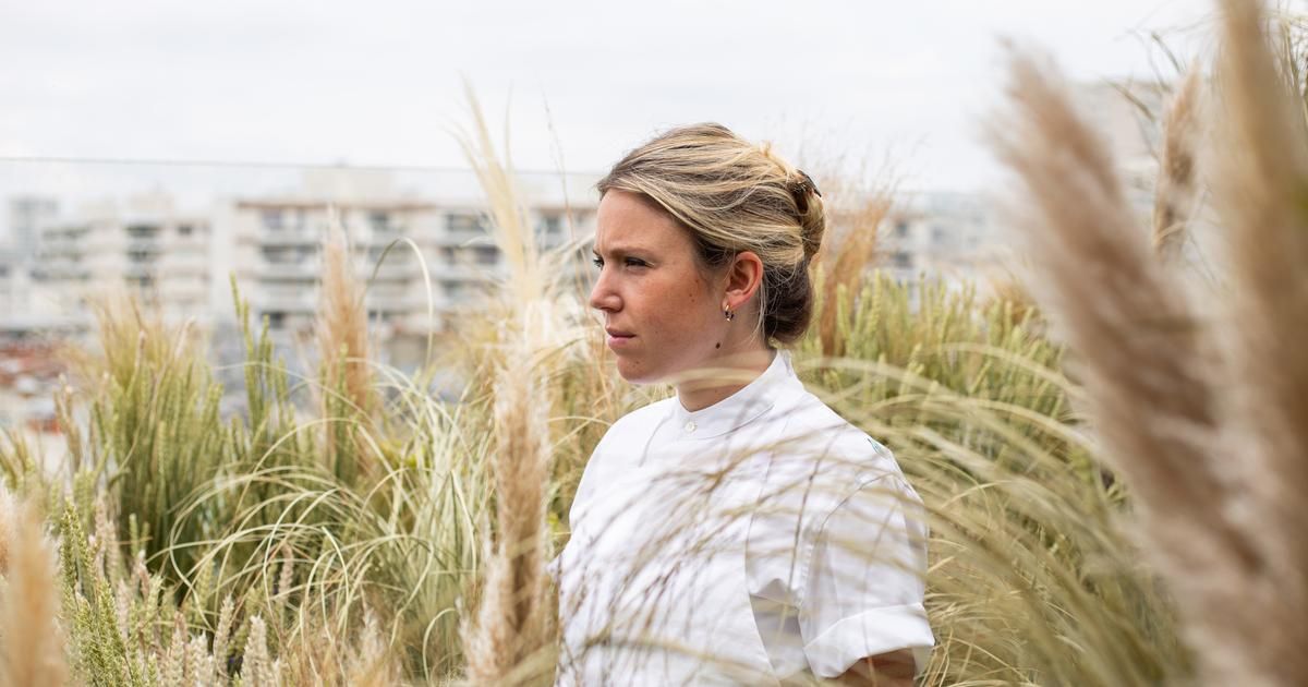 Cuisiner avec des fleurs de courgette : des idées créatives par Manon Fleury