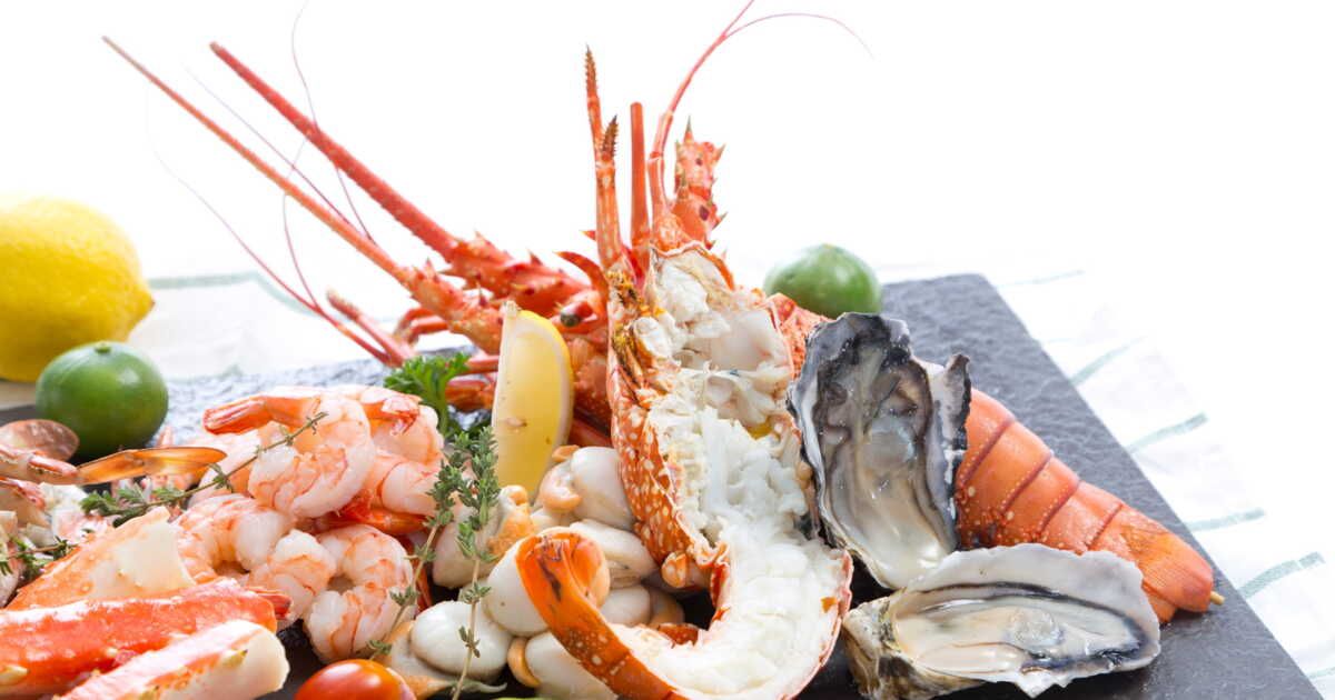 Saveurs maritimes : des idées innovantes pour sublimer les fruits de mer