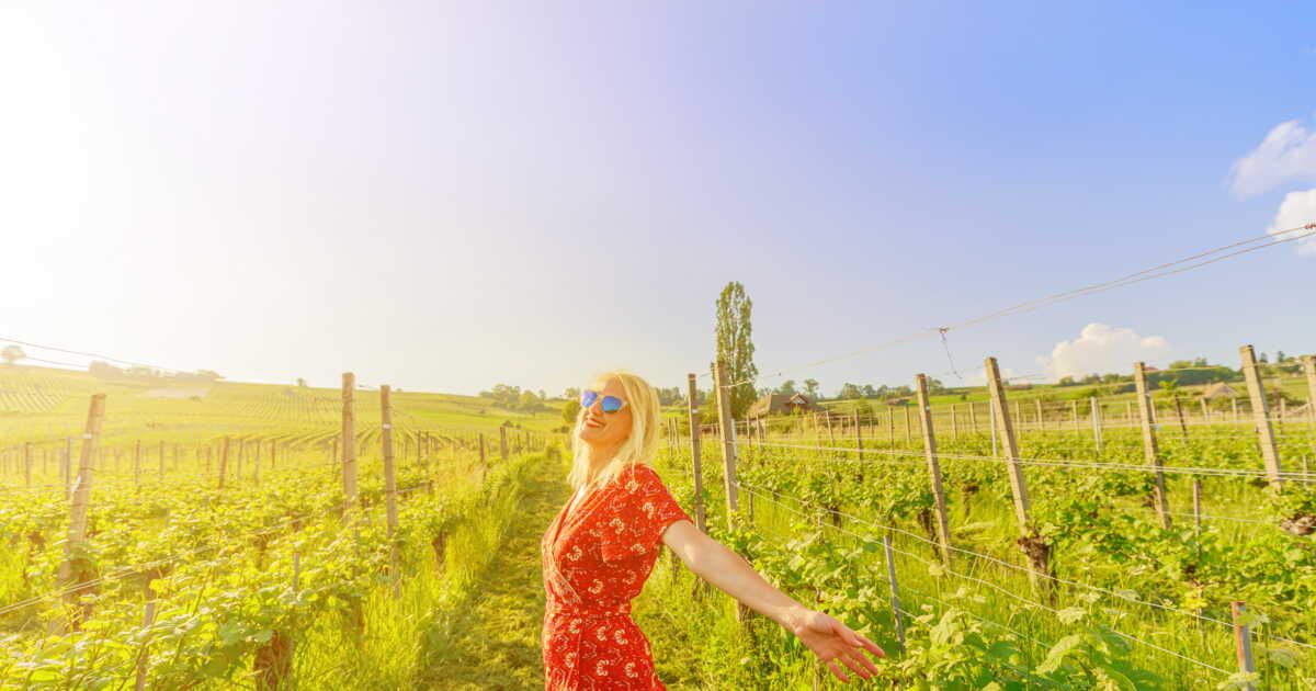 À la découverte des vins blancs AOC : un voyage sensoriel à travers les régions de France