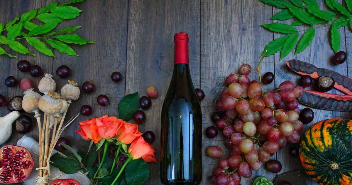 L'art du vin fait maison : guide pratique pour débutants