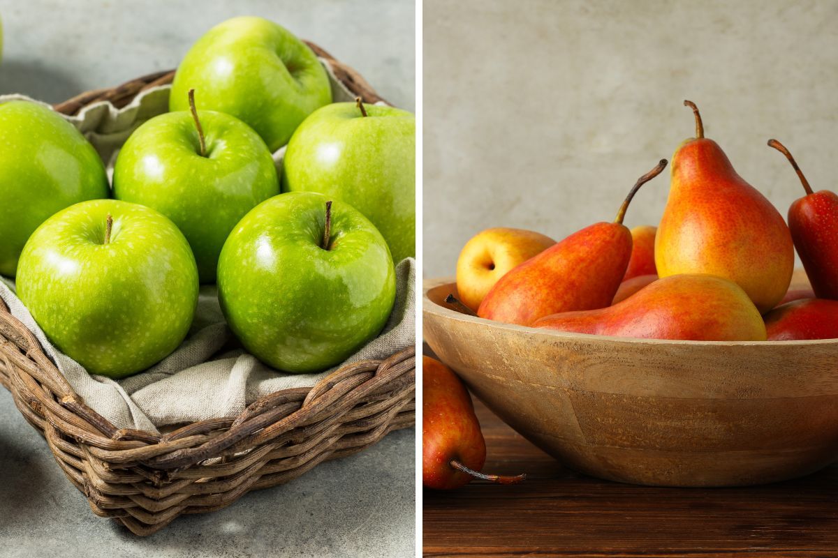 Pomme ou poire : quel fruit privilégier pour votre santé ?