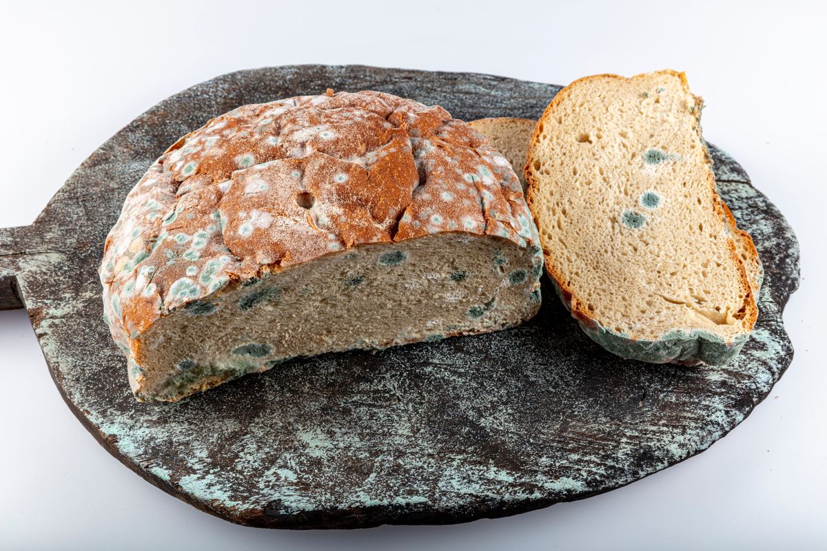 peut-on vraiment manger des aliments moisis ? les conseils d'une virologue