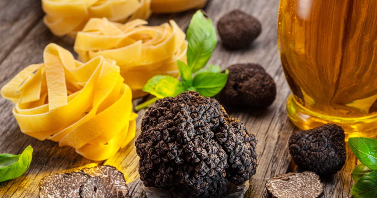 La truffe noire : un trésor culinaire à découvrir