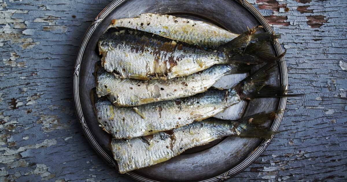 Cinq recettes savoureuses à base de sardines