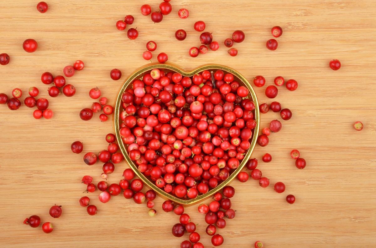 Les 8 super-aliments nordiques pour une santé éclatante