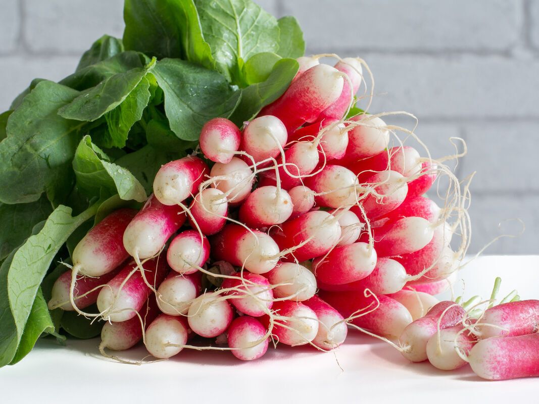 Découvrez 9 recettes vitaminées aux radis roses pour une cuisine pleine de fraîcheur
