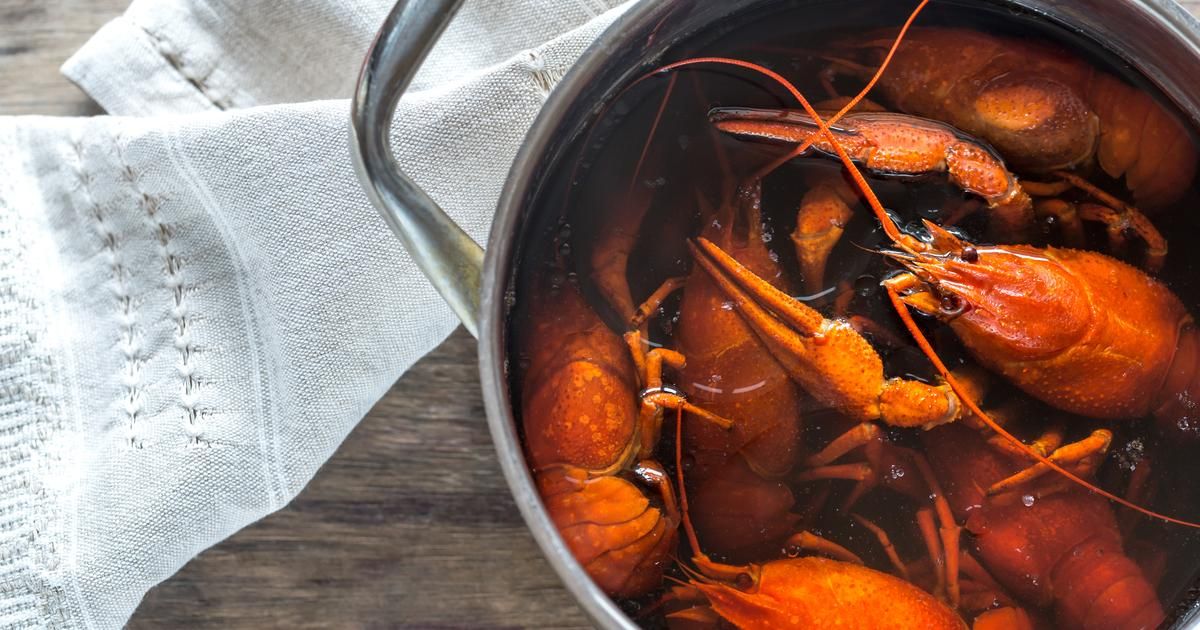 l'art de préparer et de cuire le homard : les secrets d'un expert