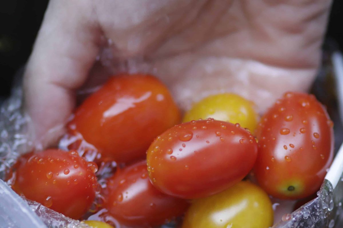 Une méthode simple pour éliminer les pesticides de vos fruits et légumes