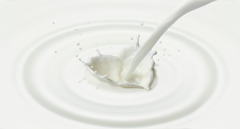 Le lait entier : un allié contre le diabète et l'obésité