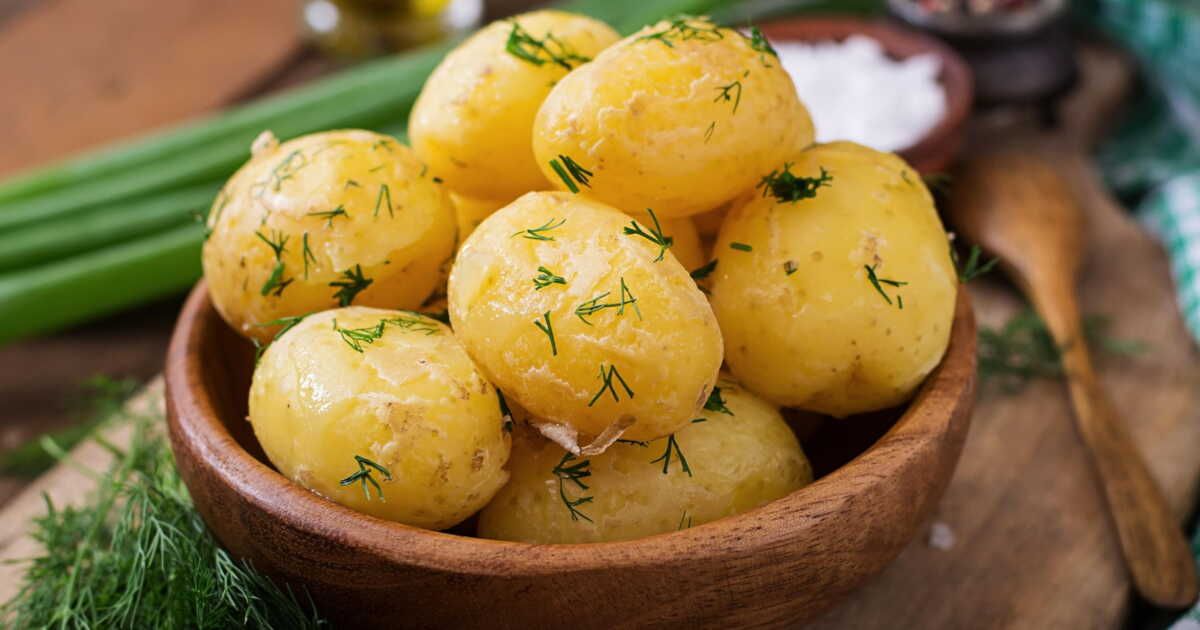 Conservation des pommes de terre : trucs et astuces pour éviter la germination