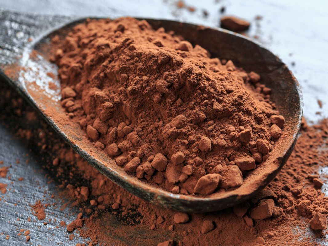 Le cacao : un allié inattendu pour booster notre intelligence