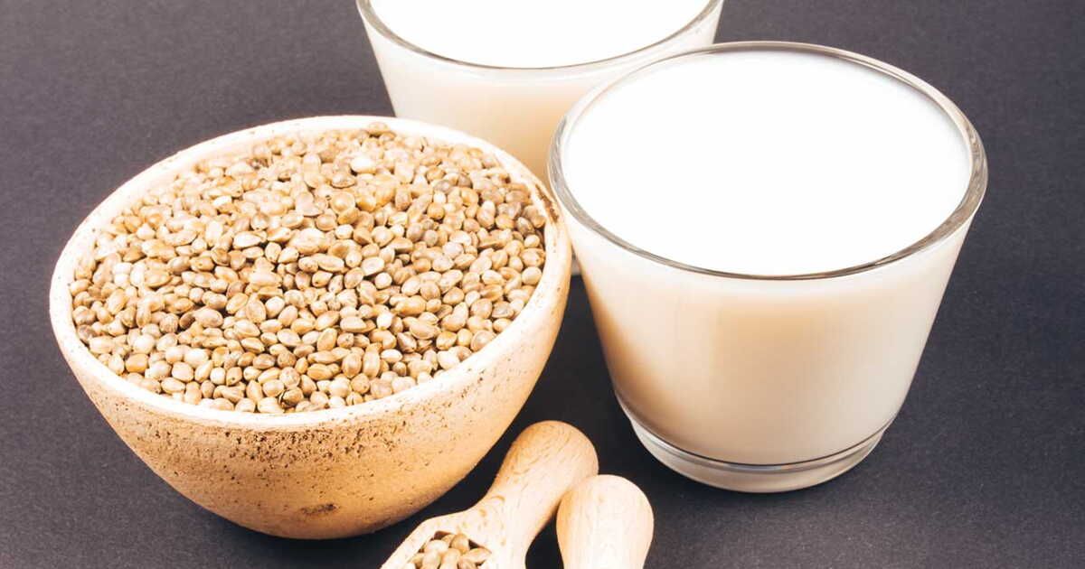 Laits végétaux : les clés de leur succès