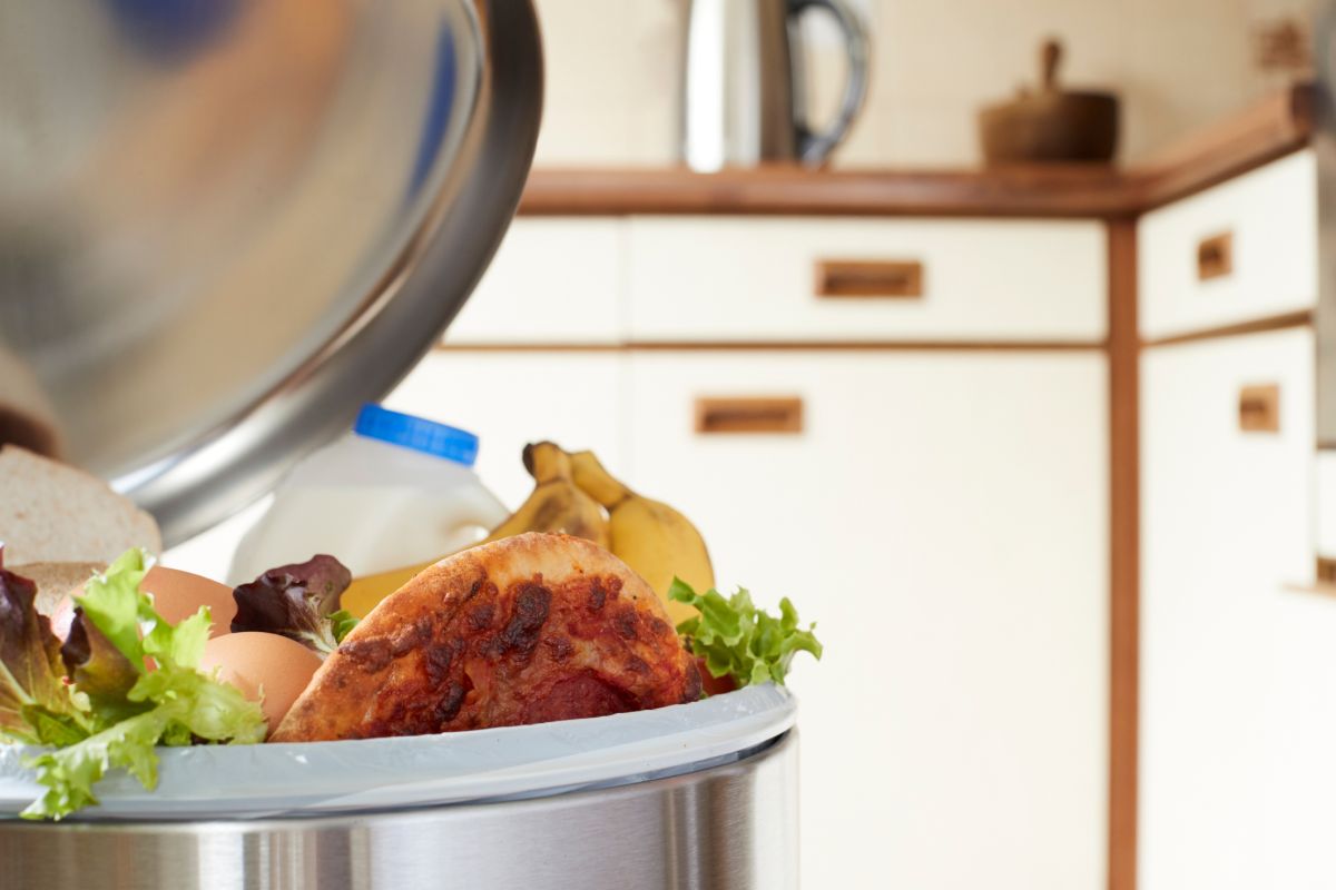Le gaspillage alimentaire aux États-Unis : 150 000 tonnes par jour mises à la poubelle