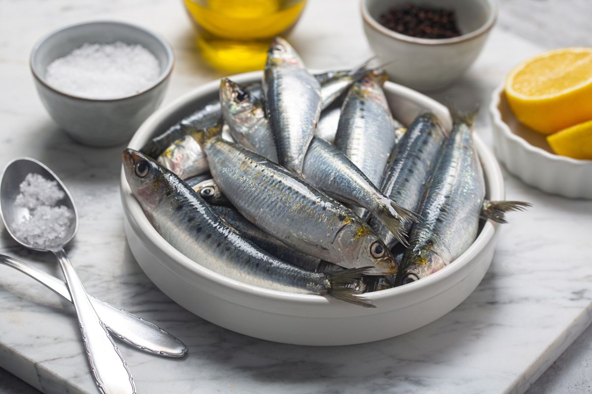 Rappel de sardines : prudence face aux parasites en France